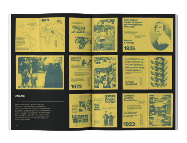 Beyond Resilience - Bosla Arts publication