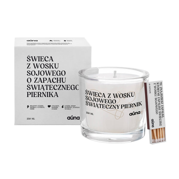 Soy Candle Christmas Gingerbread