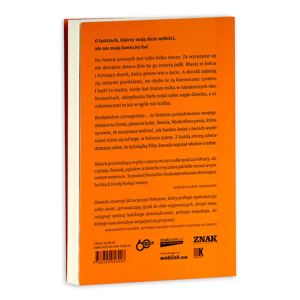 Rozdeptałem czarnego kota przez przypadek -  Filip Zawada