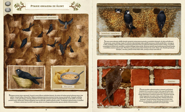 Co budują zwierzęta? - Dziubak Emilia