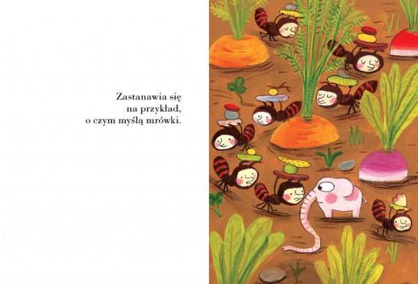 Pomelo się zastanawia – Ramona Bădescu