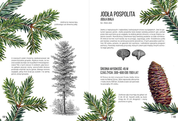 Ale drzewa! - Zuzanna Malinowska