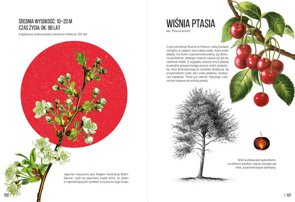 Ale drzewa! - Zuzanna Malinowska