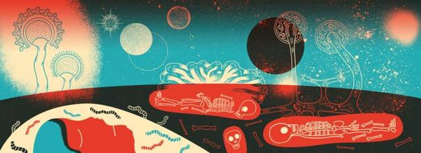 Brud. Olga Woźniak, Patryk Mogilnicki