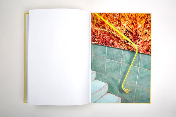 Disco Polo - photobook by Paulina Korobkiewicz