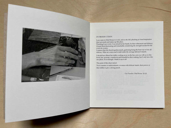 Lucy McLauchlan - Dial House Art Book