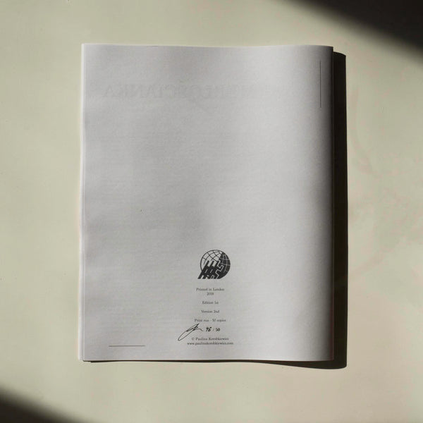 Wall Unit - newsprint zine by Paulina Korobkiewicz