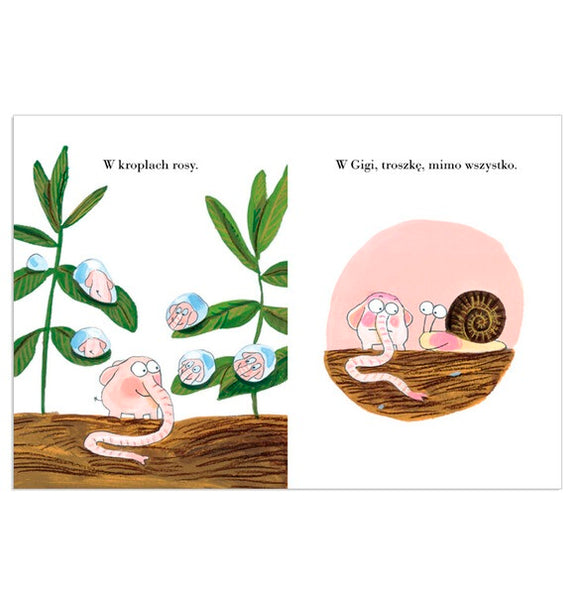 Pomelo jest zakochany – Ramona Bădescu