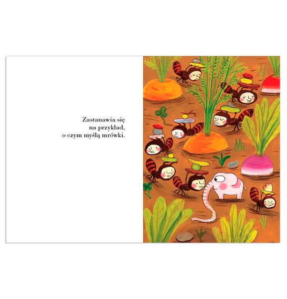 Pomelo się zastanawia – Ramona Bădescu