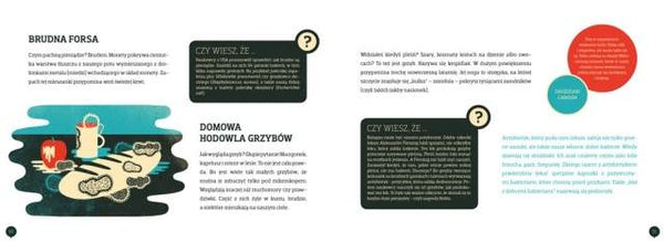 Brud. Olga Woźniak, Patryk Mogilnicki