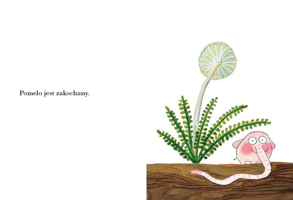 Pomelo jest zakochany – Ramona Bădescu