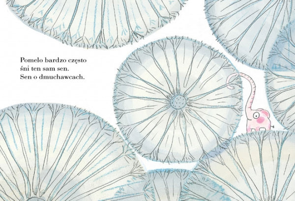 Pomelo śni – Ramona Bădescu