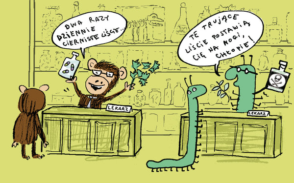 Robale, Czyli Co Nas Zżera. Nicola Davies, Neal Layton