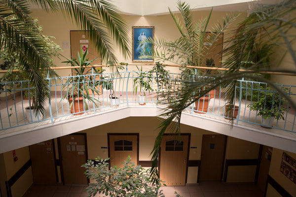 Wall Unit - newsprint zine by Paulina Korobkiewicz