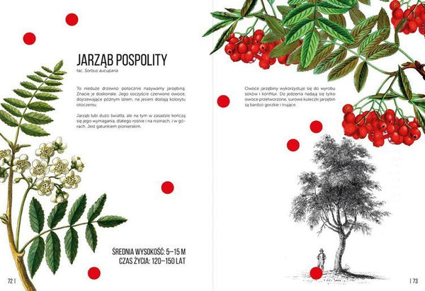 Ale drzewa! - Zuzanna Malinowska