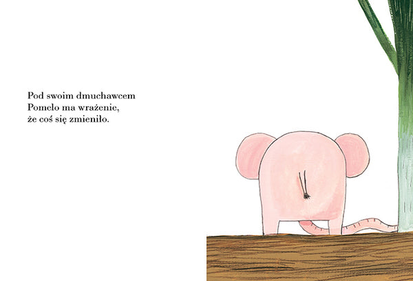 Pomelo wyrusza za mur ogrodu. Ramona Bădescu