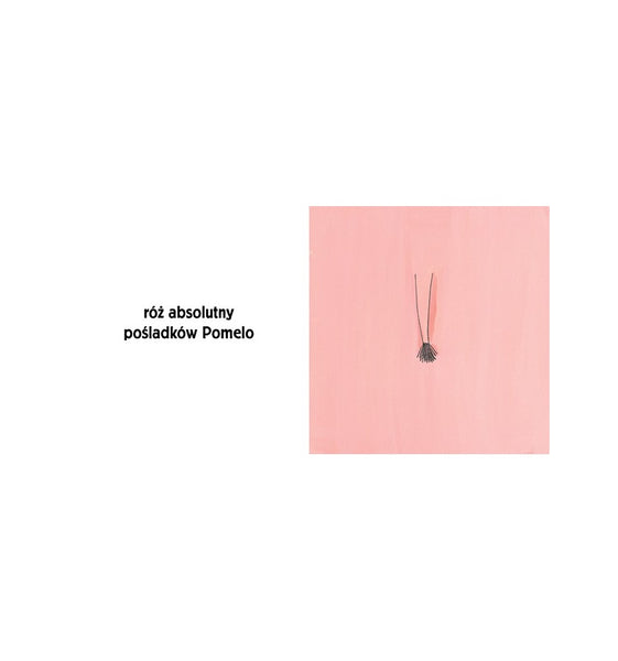 Pomelo i kolory – Ramona Bădescu