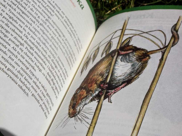 Zwierzaki Wajraka - Adam Wajrak