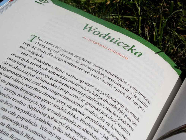 Zwierzaki Wajraka - Adam Wajrak