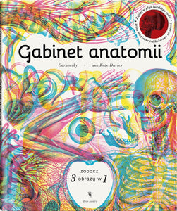 Gabinet anatomii. Kate Davies